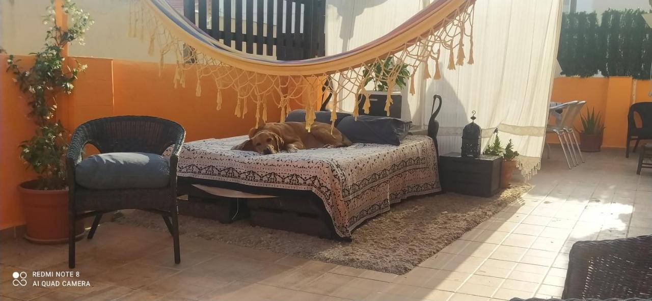 La Casita De Celia Apartment Alicante Ngoại thất bức ảnh
