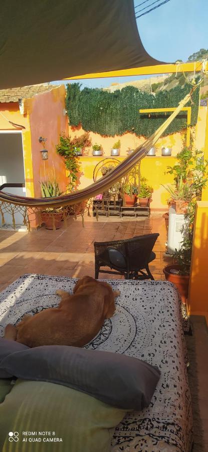 La Casita De Celia Apartment Alicante Ngoại thất bức ảnh